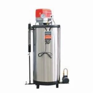 Natural Gas Fired Steam Generator