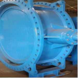 Double Offset Butterfly Valve